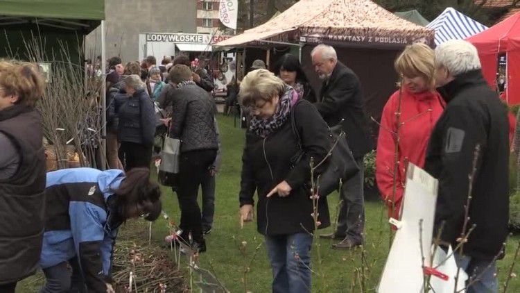 20160411-20160410-c-213-x_wiosna_w_polu_i_w_ogrodzie.mp4
