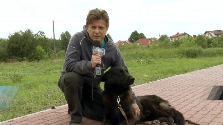 20160610-20160609-c-108-pokaz_psich_umiejetnosci_juz_w_niedziele.mp4