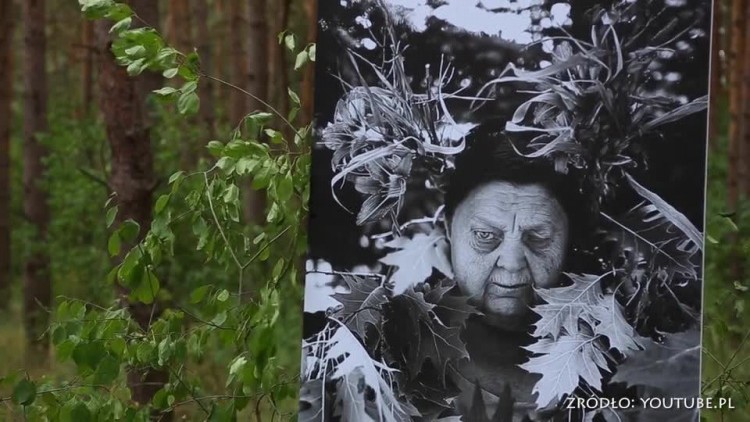 20160701_landart_252.mp4