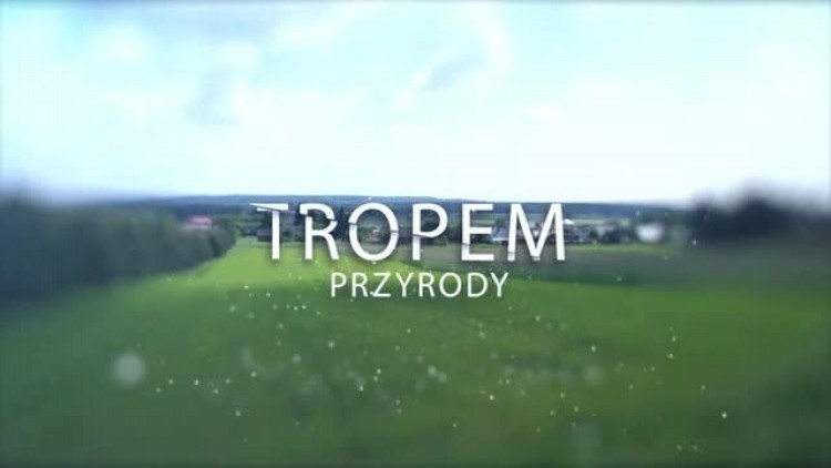 blonie_program_ekologiczny.mp4