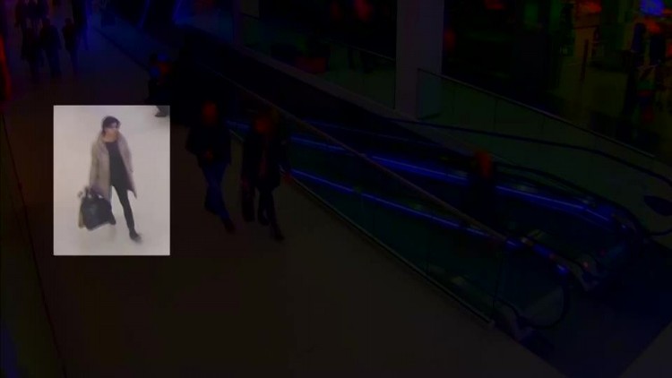 galeria_siedlce.mp4