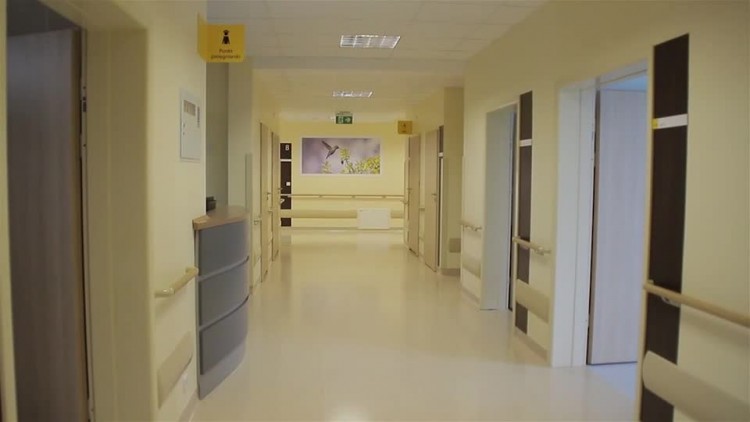 20170428_domowyszpital_409.mp4