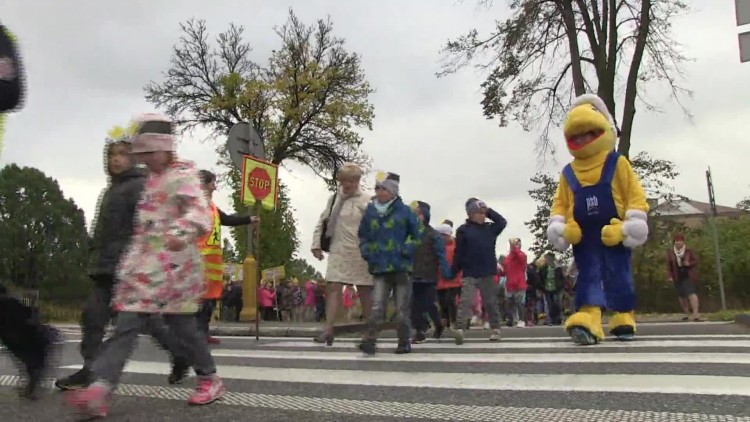 20171011-20171009-c-219-kierowco_nie_polujemy_na_zebrach.mp4