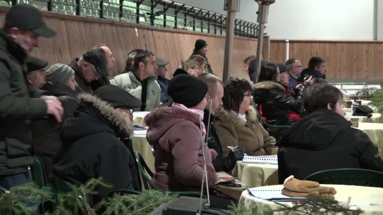 2017_12_18_aukcja_koni_w_janowie.mp4