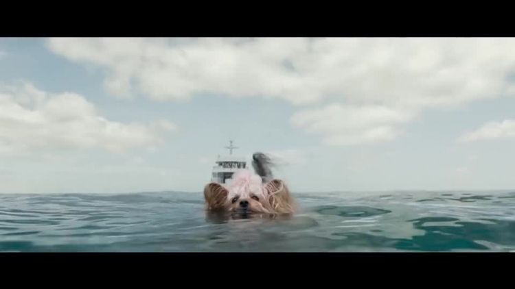 2018_08_23_0500_kino_helios.mp4