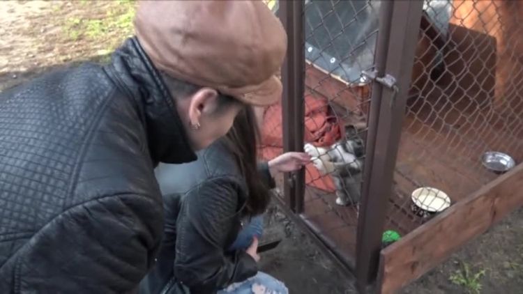 20181031-20181020-c-116-caritas_pomaga_azylowi.mp4