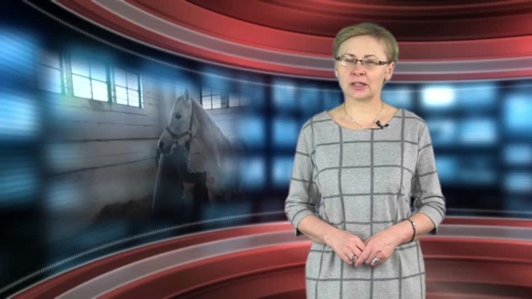 2019_02_04_c_7_13_wr_siedlce.mp4