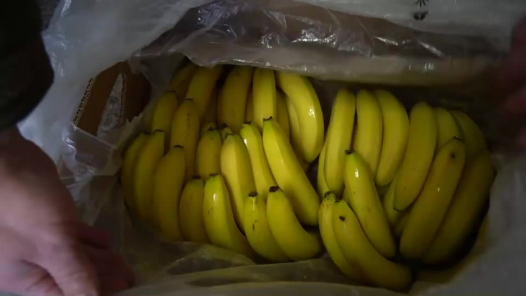 20190405-20190401-c-100-narkotyki_w_bananach_w_kotuniu-1.mp4