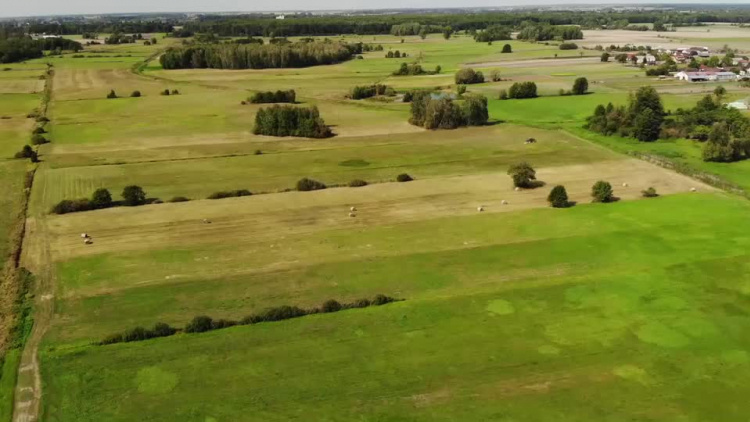20190913-20190912-c-049-ukradl_trawe-1.mp4