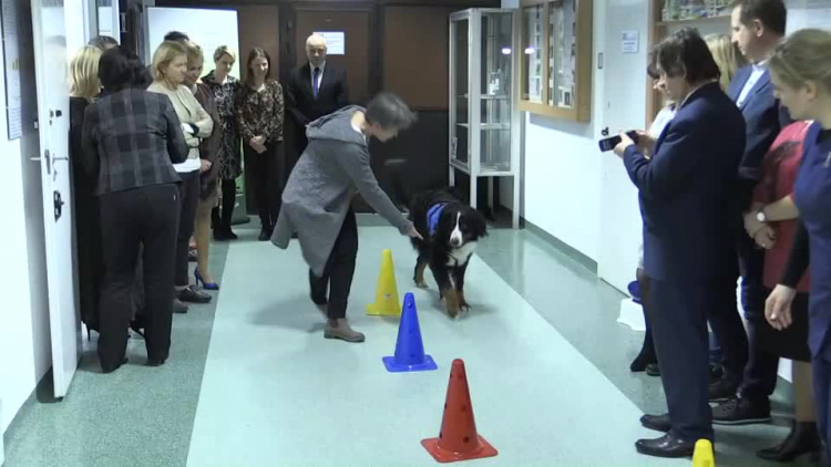 20200304-20200302-c-145-pracownia_rehabilitacji_i_sensoryki_zwierzat_w_uph-1.mp4