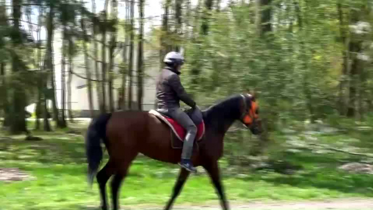 20200504-20200430-c-409-sezon_wyscigow_konnych-1.mp4