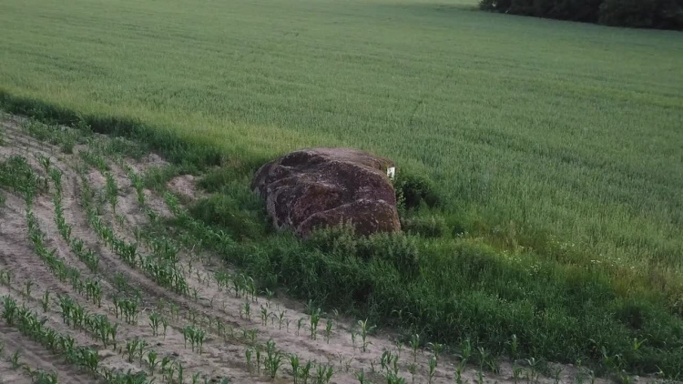 felieton_zbuczyn_hd.mp4