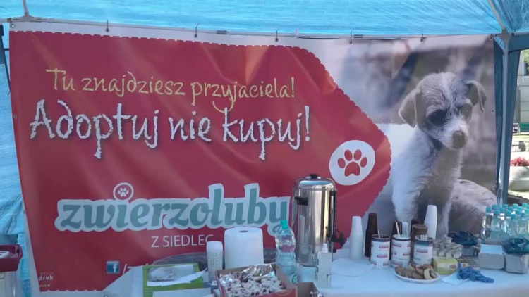 20200727-_zwierzoluby-1.mp4