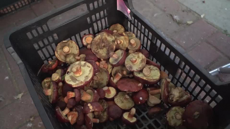 20200918_c_10_15_wr-1.mp4