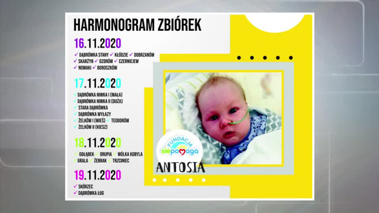 20201113-20201112-c-341-skorzec_zbiera_na_antosie-1.mp4