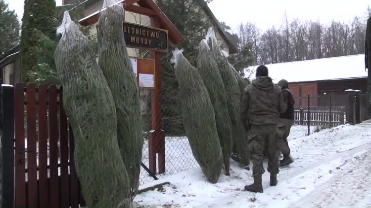 20211217-20211210-c-246-choinki-dla-zolnierzy-na-granicy-1.mp4