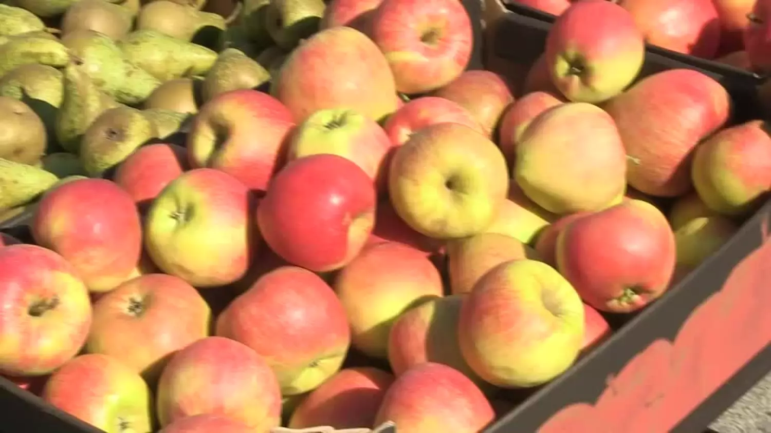 20250922-20250921-c-357-biegiem-przez-platerow-1.mp4