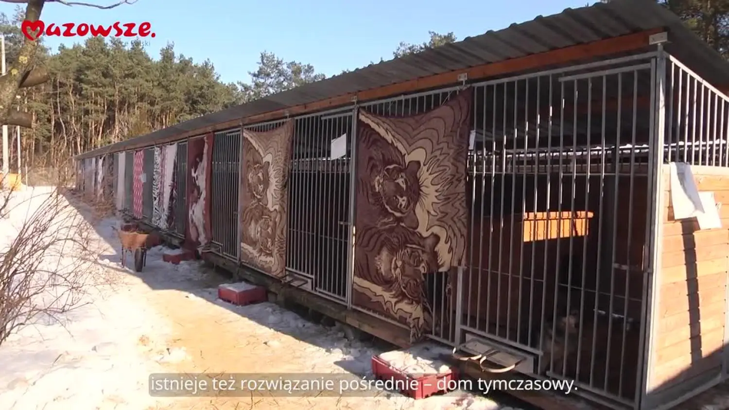 informacje-z-mazowsza-136.mp4