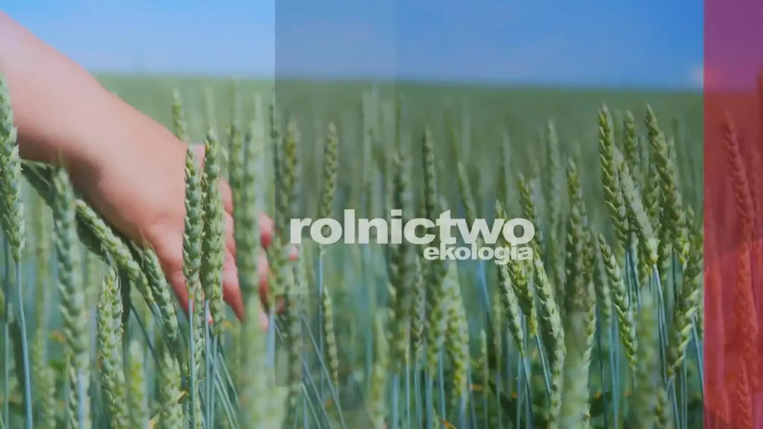 informacje-z-mazowsza-137b.mp4