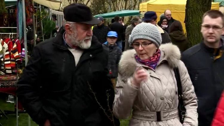 20150420-20150419-c-243-wiosna_w_polu_i_w_ogrodzie.mp4